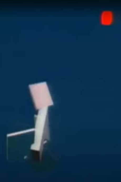 Evolved Virtual Creatures